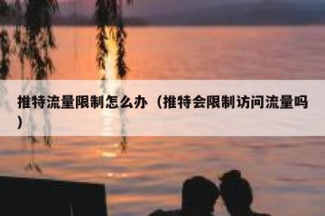推特流量限制怎么办（推特会限制访问流量吗）