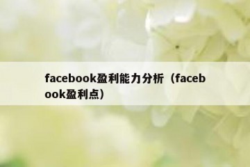 facebook盈利能力分析（facebook盈利点）