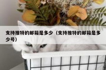 支持推特的邮箱是多少（支持推特的邮箱是多少号）