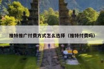 推特推广付费方式怎么选择（推特付费吗）