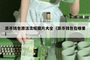 派币钱包激活流程图片大全（派币钱包在哪里）