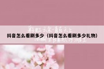 抖音怎么看刷多少（抖音怎么看刷多少礼物）