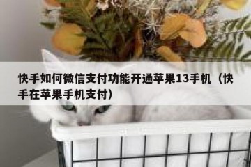 快手如何微信支付功能开通苹果13手机（快手在苹果手机支付）