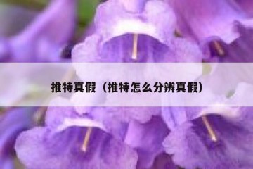 推特真假（推特怎么分辨真假）