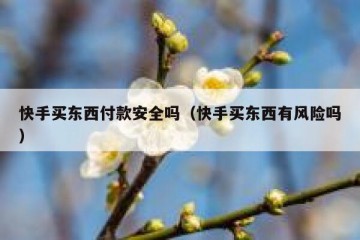 快手买东西付款安全吗（快手买东西有风险吗）