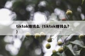 tiktok赚钱么（tiktok赚钱么?）