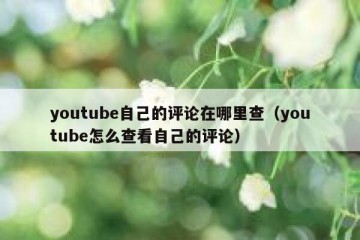 youtube自己的评论在哪里查（youtube怎么查看自己的评论）