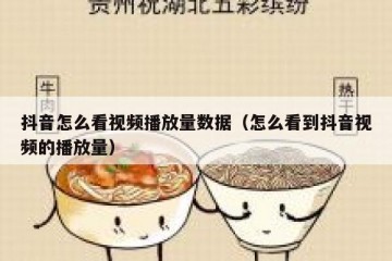 抖音怎么看视频播放量数据（怎么看到抖音视频的播放量）