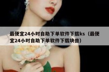 最便宜24小时自助下单软件下载ks（最便宜24小时自助下单软件下载块兽）