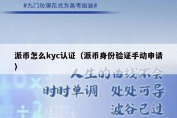 派币怎么kyc认证（派币身份验证手动申请）