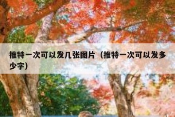 推特一次可以发几张图片（推特一次可以发多少字）