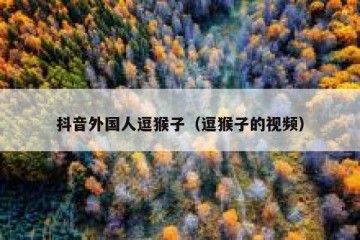 抖音外国人逗猴子（逗猴子的视频）