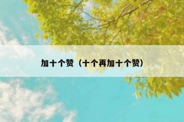 加十个赞（十个再加十个赞）