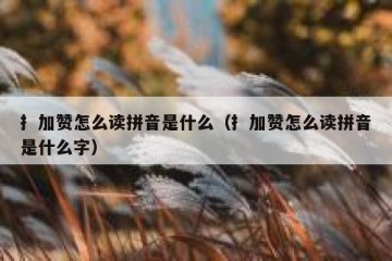 扌加赞怎么读拼音是什么（扌加赞怎么读拼音是什么字）
