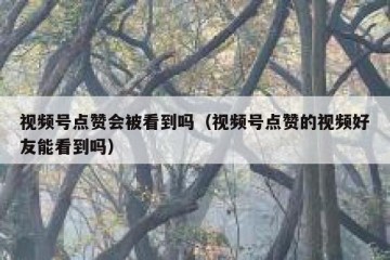 视频号点赞会被看到吗（视频号点赞的视频好友能看到吗）