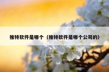 推特软件是哪个（推特软件是哪个公司的）