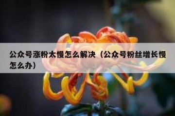公众号涨粉太慢怎么解决（公众号粉丝增长慢怎么办）