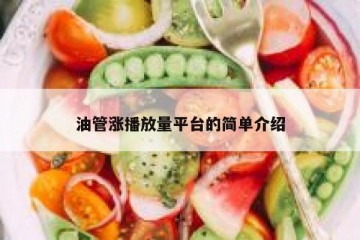 油管涨播放量平台的简单介绍