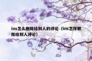 ins怎么删除给别人的评论（ins怎样删除给别人评论）