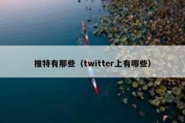 推特有那些（twitter上有哪些）