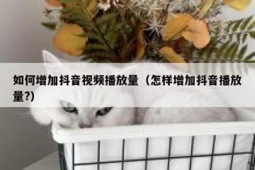 如何增加抖音视频播放量（怎样增加抖音播放量?）