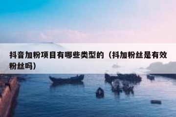 抖音加粉项目有哪些类型的（抖加粉丝是有效粉丝吗）