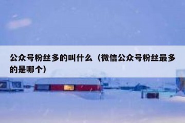 公众号粉丝多的叫什么（微信公众号粉丝最多的是哪个）