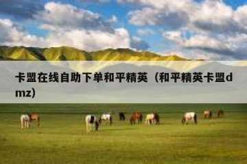 卡盟在线自助下单和平精英（和平精英卡盟dmz）