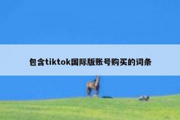 包含tiktok国际版账号购买的词条