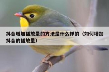抖音增加播放量的方法是什么样的（如何增加抖音的播放量）