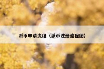 派币申请流程（派币注册流程图）