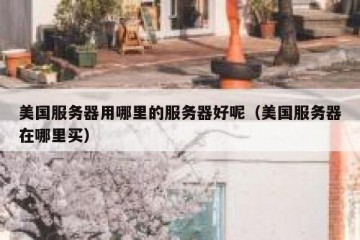 美国服务器用哪里的服务器好呢（美国服务器在哪里买）