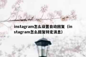 instagram怎么设置自动回复（instagram怎么回复特定消息）