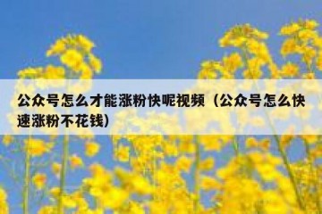 公众号怎么才能涨粉快呢视频（公众号怎么快速涨粉不花钱）