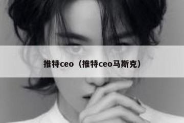 推特ceo（推特ceo马斯克）