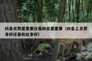 抖音点赞量重要还是粉丝量重要（抖音上点赞多好还是粉丝多好）