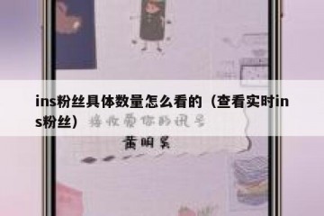 ins粉丝具体数量怎么看的（查看实时ins粉丝）