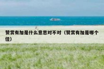 赞赏有加是什么意思对不对（赞赏有加是哪个佳）