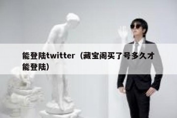 能登陆twitter（藏宝阁买了号多久才能登陆）
