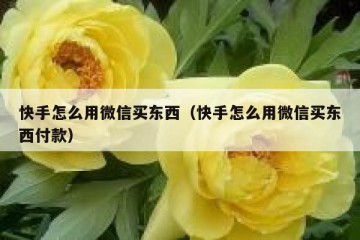 快手怎么用微信买东西（快手怎么用微信买东西付款）