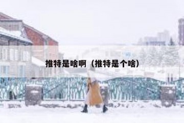 推特是啥啊（推特是个啥）