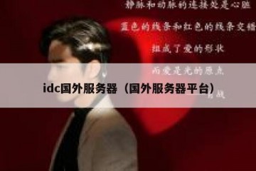 idc国外服务器（国外服务器平台）