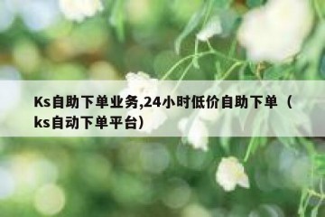 Ks自助下单业务,24小时低价自助下单（ks自动下单平台）