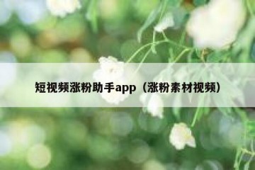 短视频涨粉助手app（涨粉素材视频）