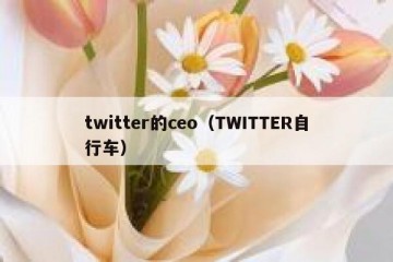 twitter的ceo（TWITTER自行车）