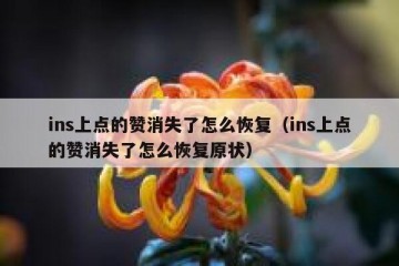 ins上点的赞消失了怎么恢复（ins上点的赞消失了怎么恢复原状）