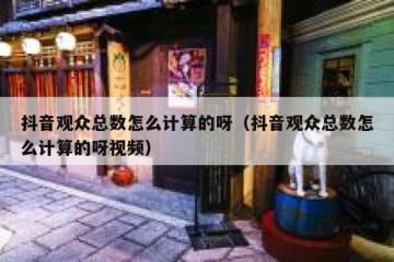 抖音观众总数怎么计算的呀（抖音观众总数怎么计算的呀视频）