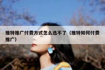 推特推广付费方式怎么选不了（推特如何付费推广）