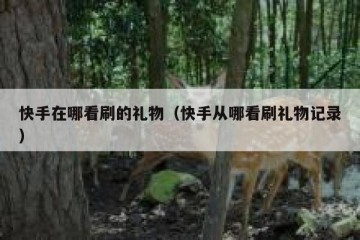 快手在哪看刷的礼物（快手从哪看刷礼物记录）