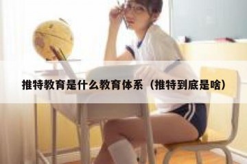 推特教育是什么教育体系（推特到底是啥）